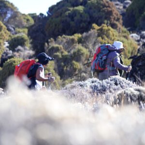 Kilimanjaro Machame Route 7 Days