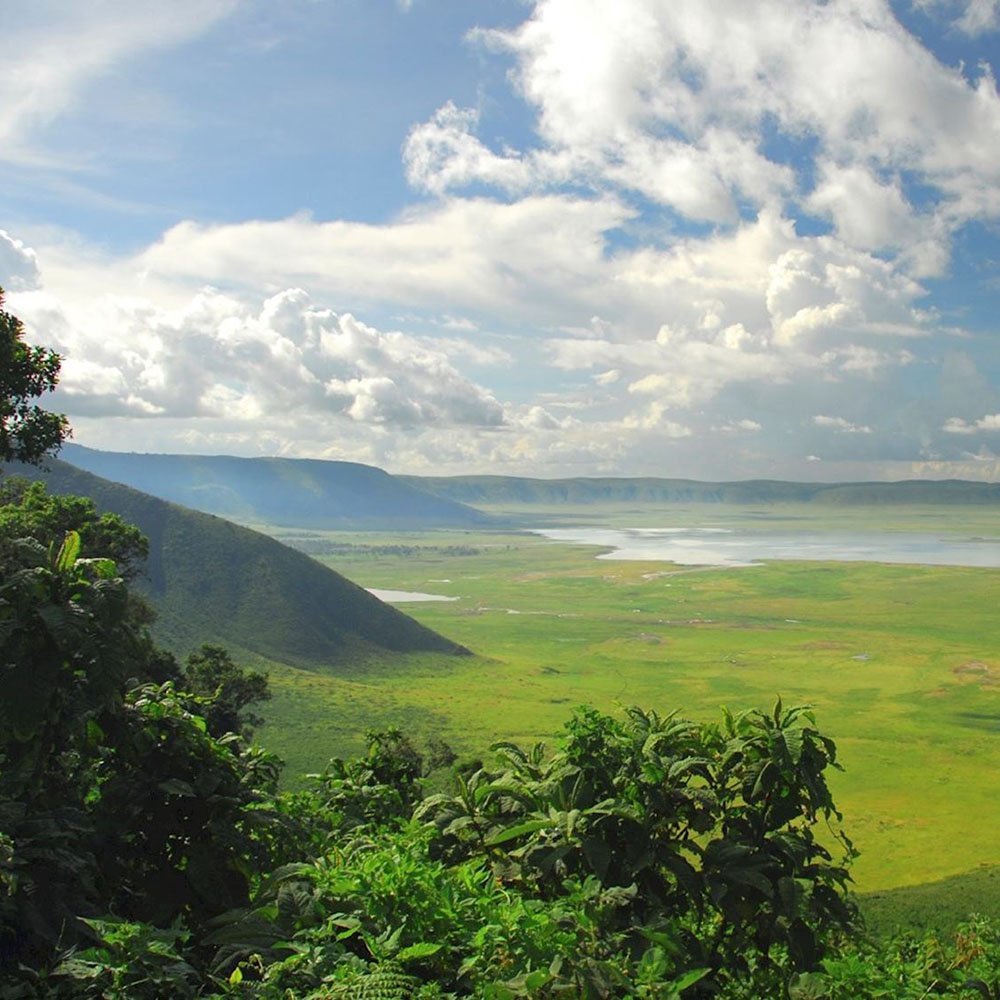 Ngorongoro